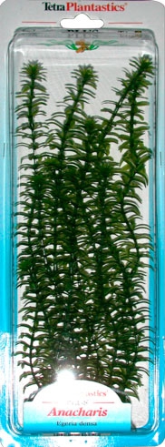Tetra растение Элодея 15 см