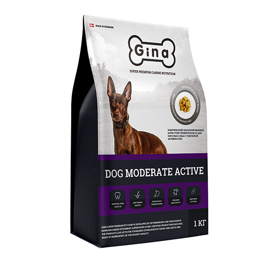 Gina Dog Moderate Active с курицей для взрослых собак с умеренной активностью