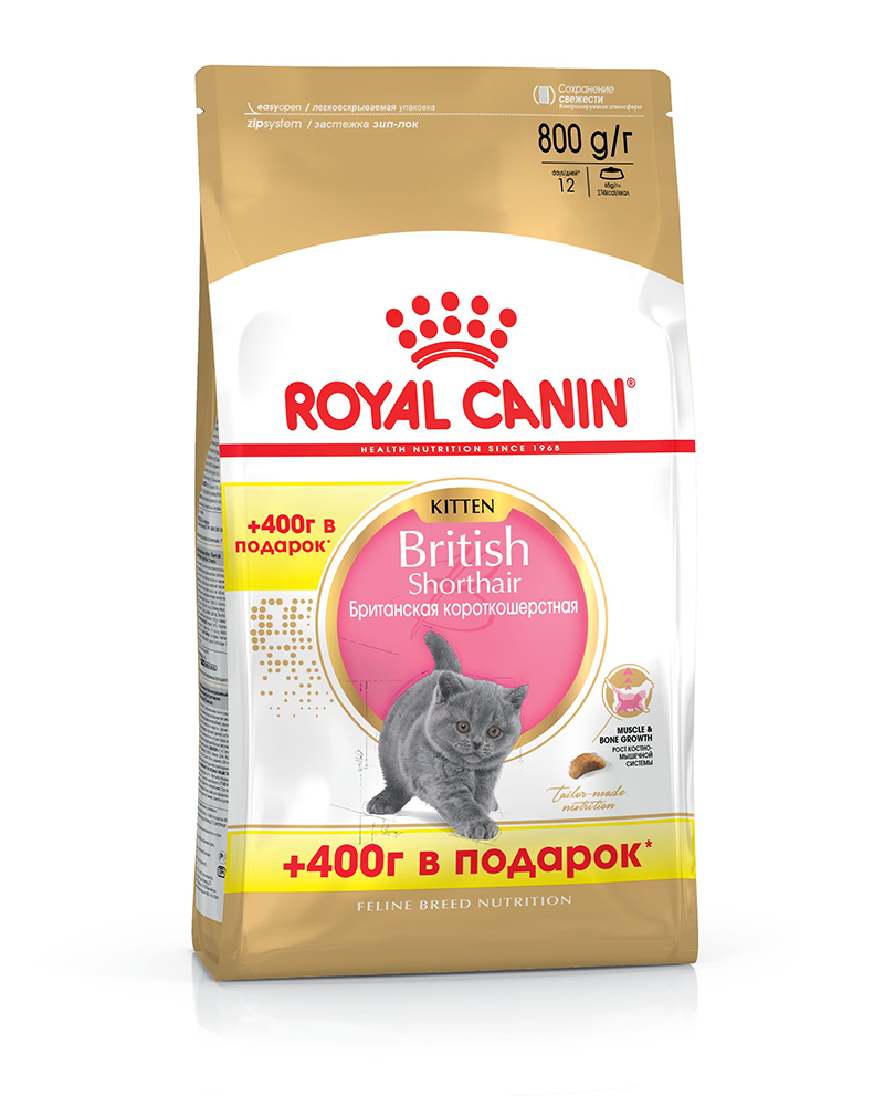 Royal Canin Kitten British Shorthair для котят британской породы в возрасте до 12 мес по акции 400+400 гр в подарок