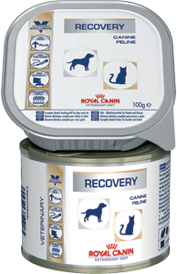 /upload/iblock/ae3/Royal-Canin-Recovery.png
