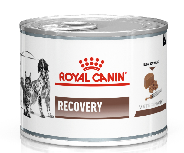 Royal Canin Recovery при липидозе печени. Кормление через зонд 195 гр