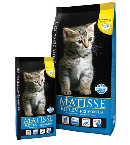 Matisse Kitten 1-12 Months для котят 1-12 месяцев