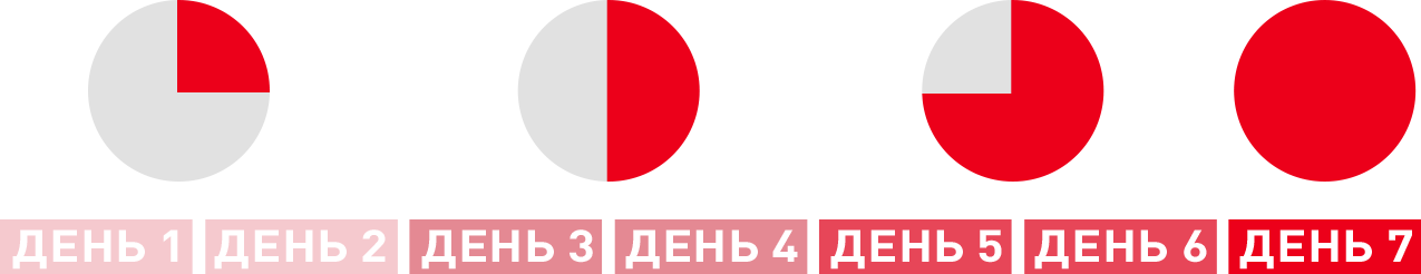 День 7