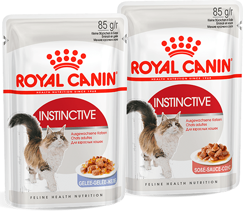 Изображение мини корма Royal Canin