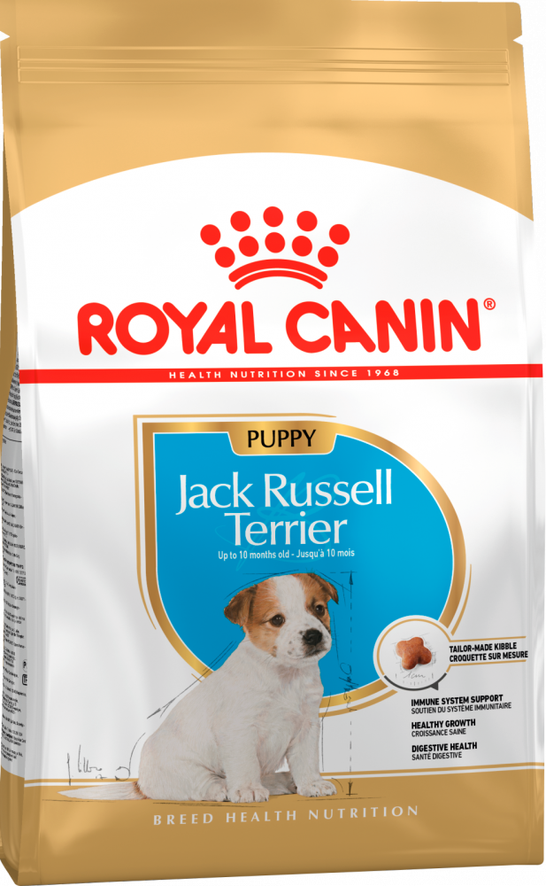 Royal Canin Jack Rassell Terrier Junior для щенков джек рассел терьеров