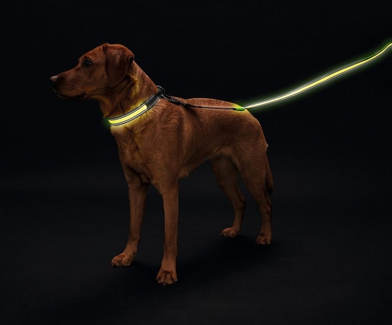 Hunter LED  Manoa Glow 30/120 