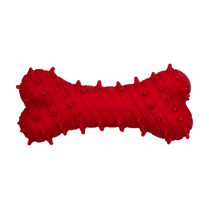 Playology    PUPPY TEETHING BONE   4-8    ,  