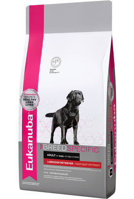 Eukanuba Labrador Retriver -