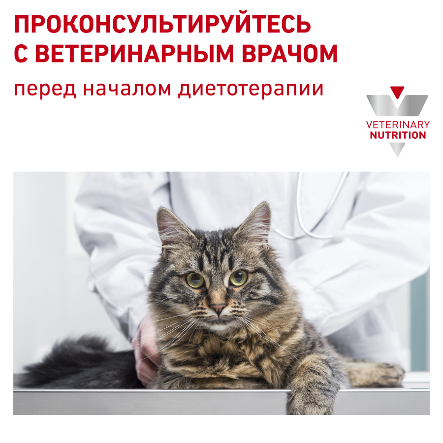 /upload/iblock/9e5/k30ejmi8i9n5bic0671j45x3gktp7tbq/10_RC_VET_DRY_CatUrinarySO_rus10.png