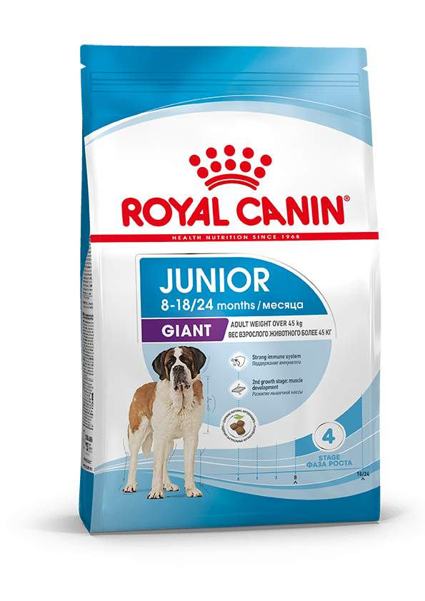 Royal Canin Junior Giant для щенков (в возрасте от 8 до 18/24 месяцев)