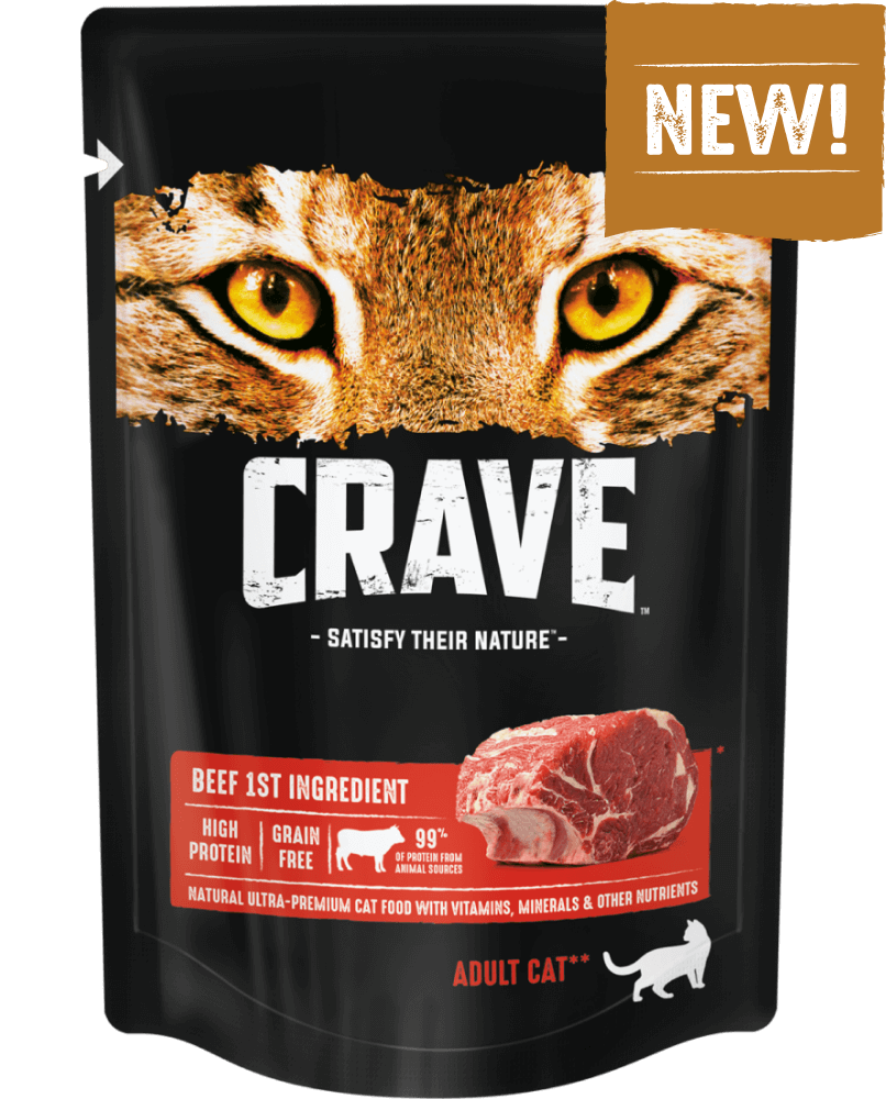 Crave влажный корм для взрослых кошек с говядиной 70 гр