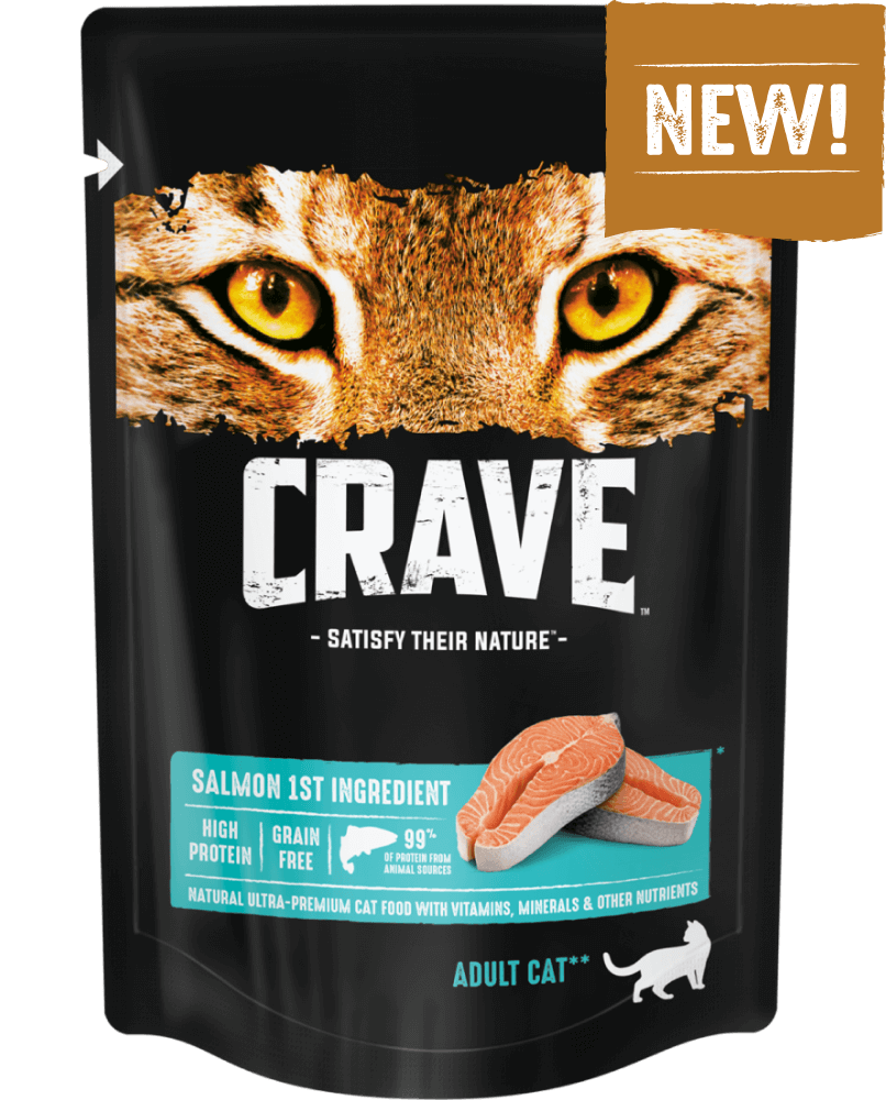 Crave влажный корм для взрослых кошек с лососем 70 гр