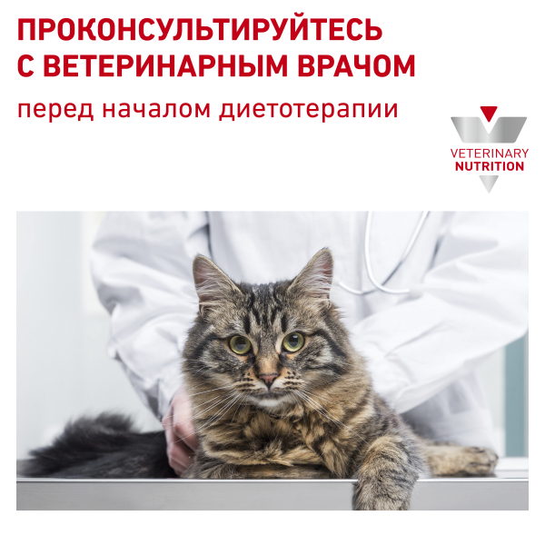 /upload/iblock/dc9/akk8kun7lxuknjrj1n1lre3ptxv46tak/10_RC_VET_DRY_CatGastro_BrandFlagship_rus10.png