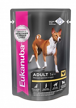 Eukanuba Adult 1+        100 