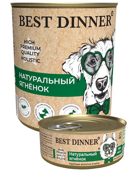 Best Dinner High Premium Quality Holistic      100 