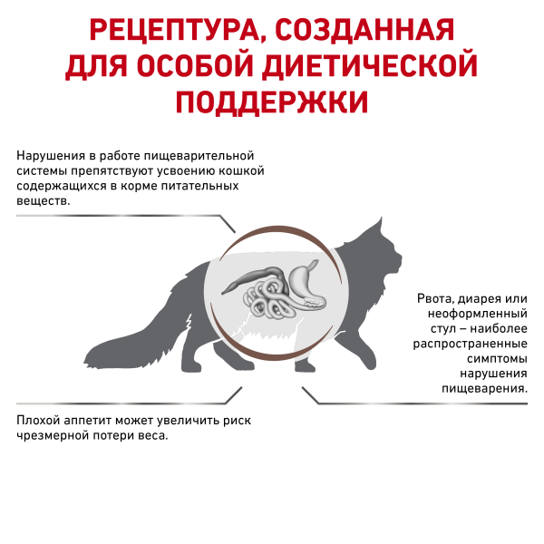 /upload/iblock/f7a/cb42p1kcw6ik85cvq61ufu9z17fa25ne/3_RC_VET_DRY_CatGastro_BrandFlagship_rus3.png