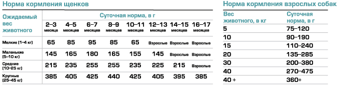 Нормы кормления Canagan с лососем для собак canagan_losos_norma_sobaki.JPG