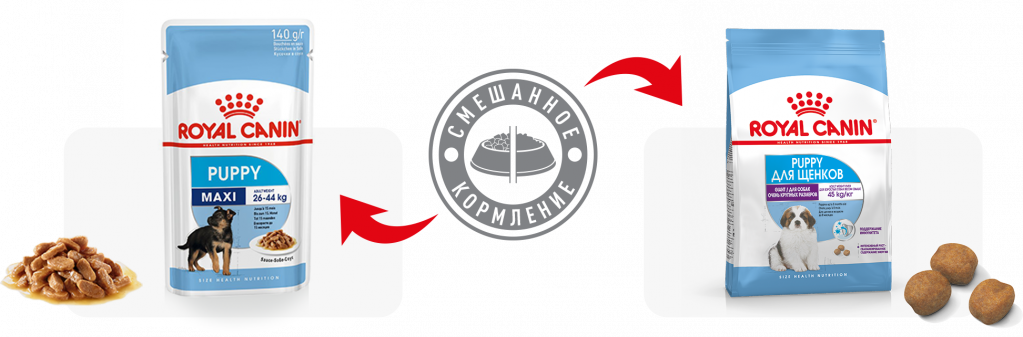 recommend (33).png recommend (33).png