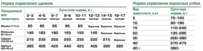 Нормы кормления Canagan курица для щенков и собак ва