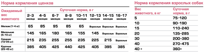 Таблица нормы сухого корма для собак