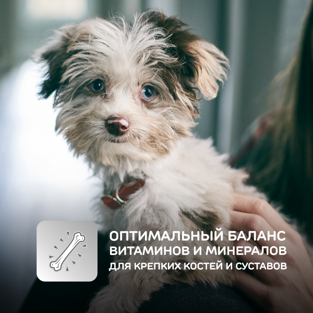 SP_PK_thumbnails_vitamins_minerals_puppy_2000_R1V1 (1).png