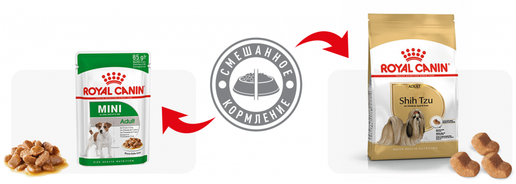 recommend (13).png recommend (13).png