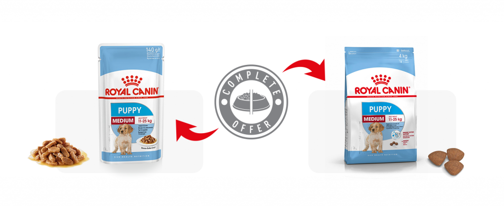 recommend (35).png recommend (35).png