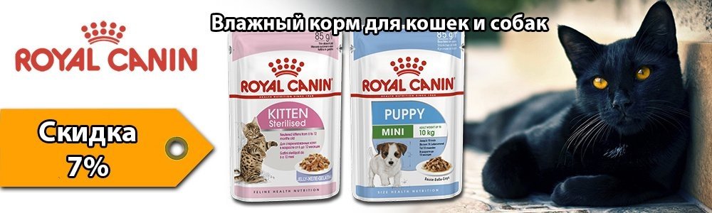 Зообудка Зоомагазин Интернет Магазин Зообудка Зоомагазин Интернет Магазин