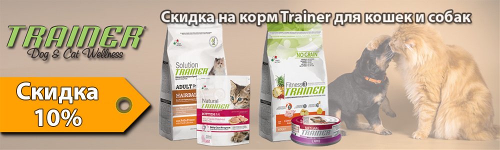 Кошачий Корм Скидки В Магазинах Кошачий Корм Скидки В Магазинах