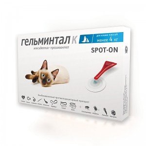 Цестоды У Кошек Фото Цестоды У Кошек Фото
