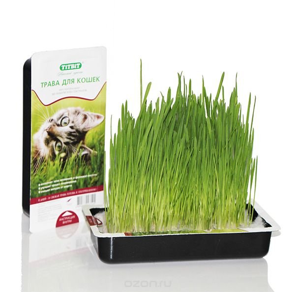 ТитБит  трава для проращивания (овес) в лотке для кошек 40 гр