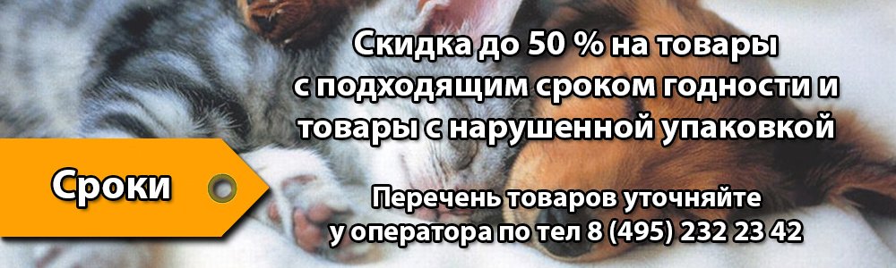 Зообудка Интернет Магазин Корма