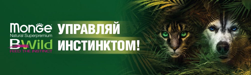 Зообудка Зоомагазин Интернет Магазин